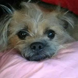 Meet your Posher, Clare